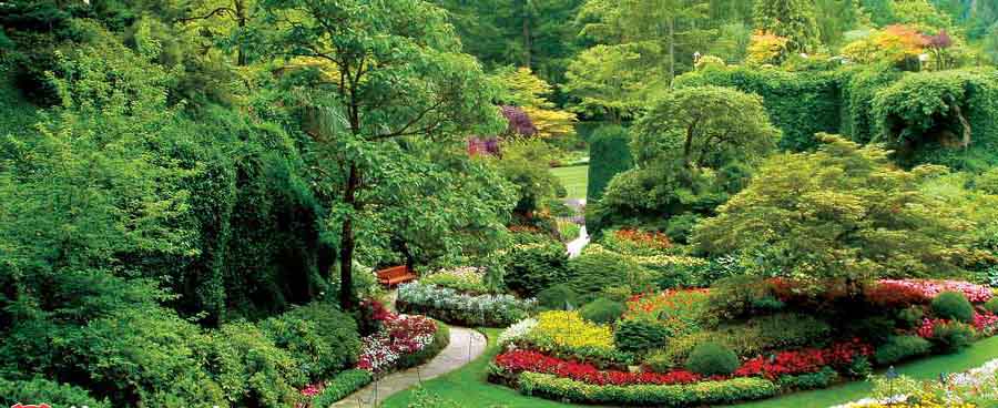 بزرگترین باغ گلهای طبیعی دنیا 3