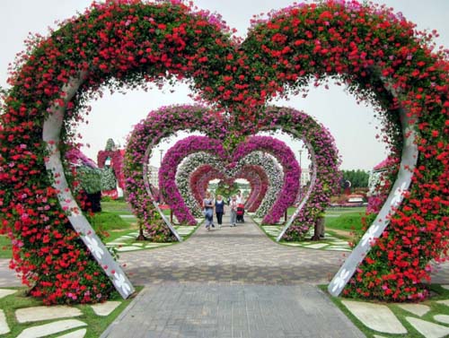بزرگترین باغ گلهای طبیعی دنیا 7