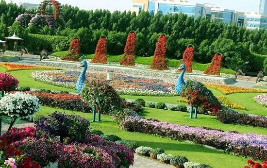 زیباترین باغ گل جهان دبی